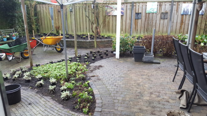 Inplanten achtertuin in Heino