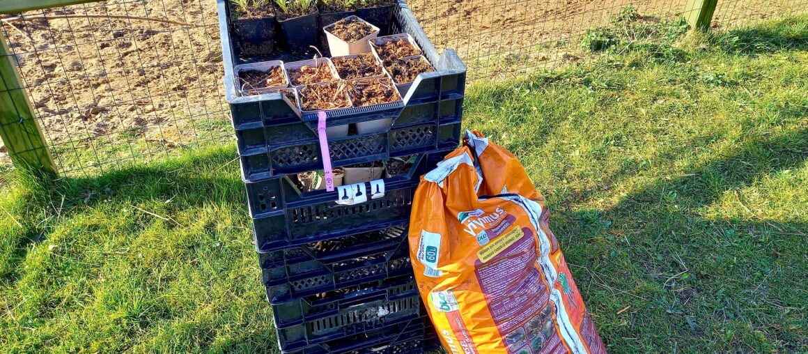 Inplanten landelijke omgeving Zelhem