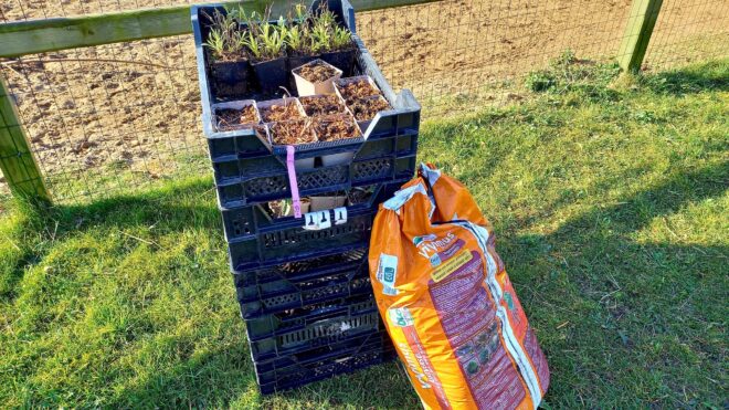 Inplanten landelijke omgeving Zelhem