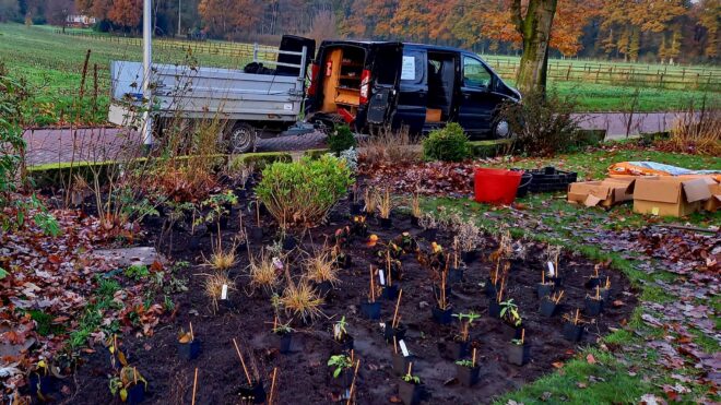 Inplantklus in Hellendoorn