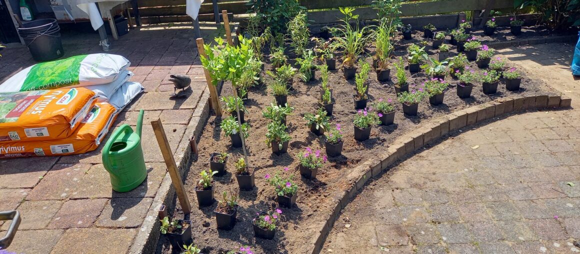 Stadstuin Zutphen insect vriendelijke beplanting