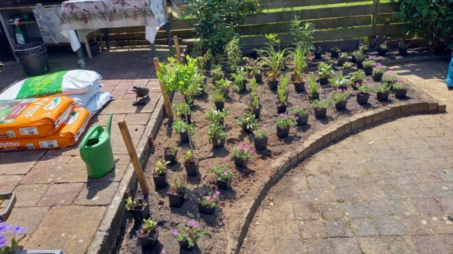 Stadstuin Zutphen insect vriendelijke beplanting